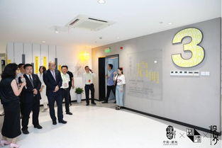 “設計無界，產業互聯” 桐引鳳創新賦能綜合體開幕儀式圓滿落幕